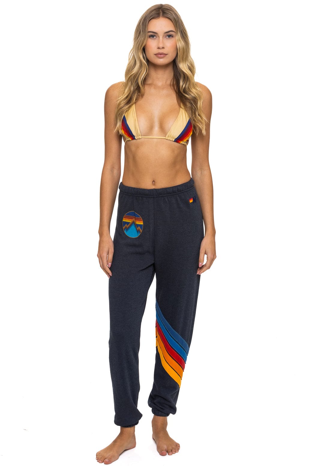 Classic ALL SEASONS CIRCLE CHEVRON SWEATPANTS - CHARCOAL