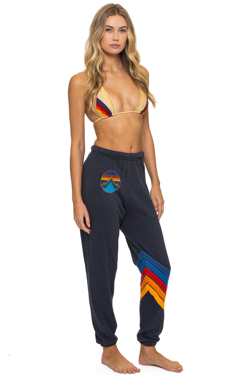 Classic ALL SEASONS CIRCLE CHEVRON SWEATPANTS - CHARCOAL