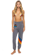 Classic ALL SEASONS CIRCLE CHEVRON SWEATPANTS - HEATHER