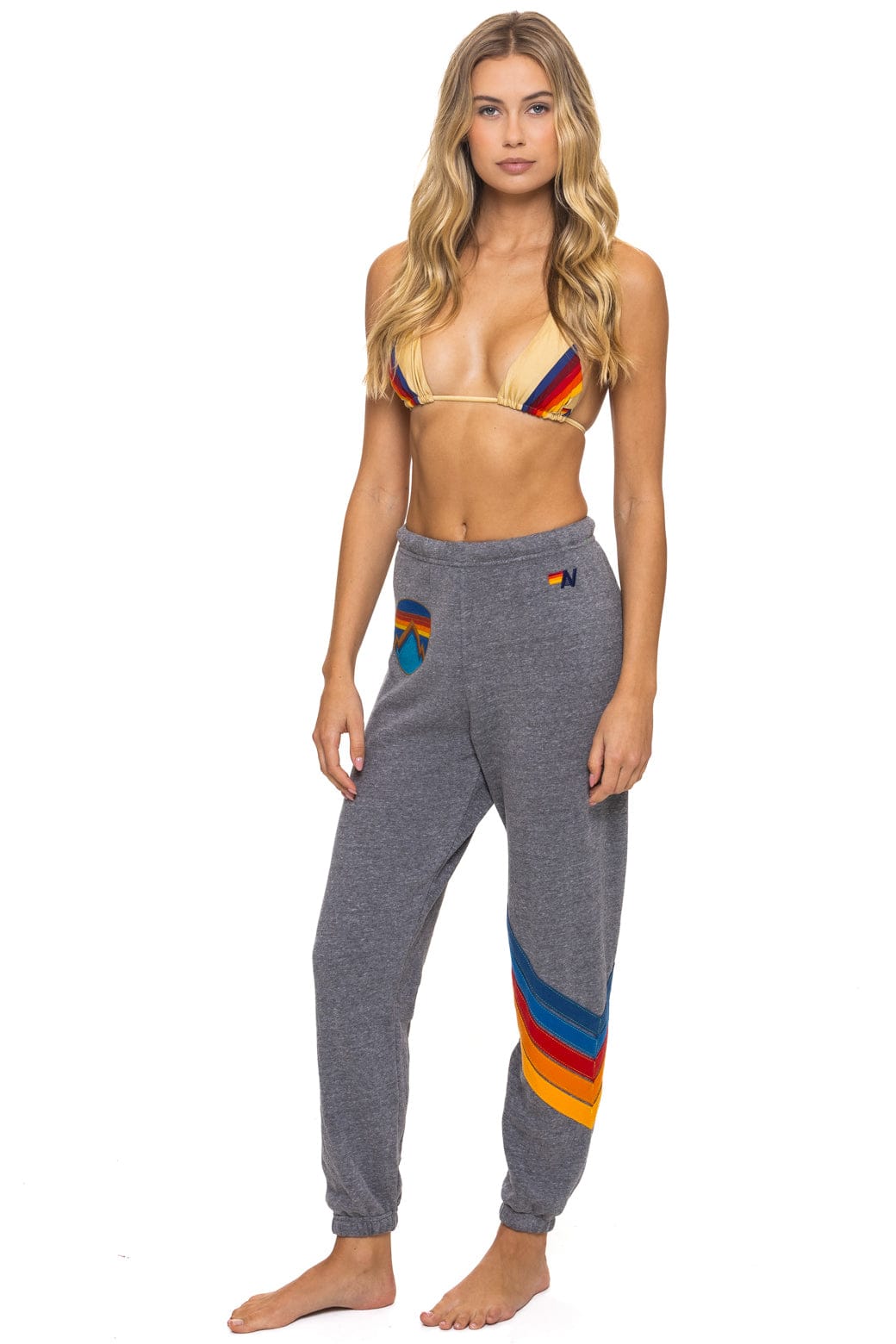 Classic ALL SEASONS CIRCLE CHEVRON SWEATPANTS - HEATHER