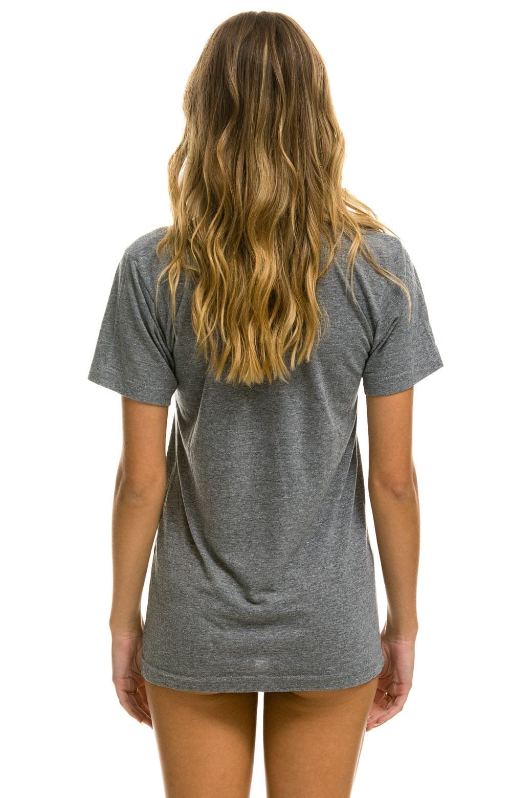 Retro SIGNATURE ASPEN TEE - HEATHER GREY